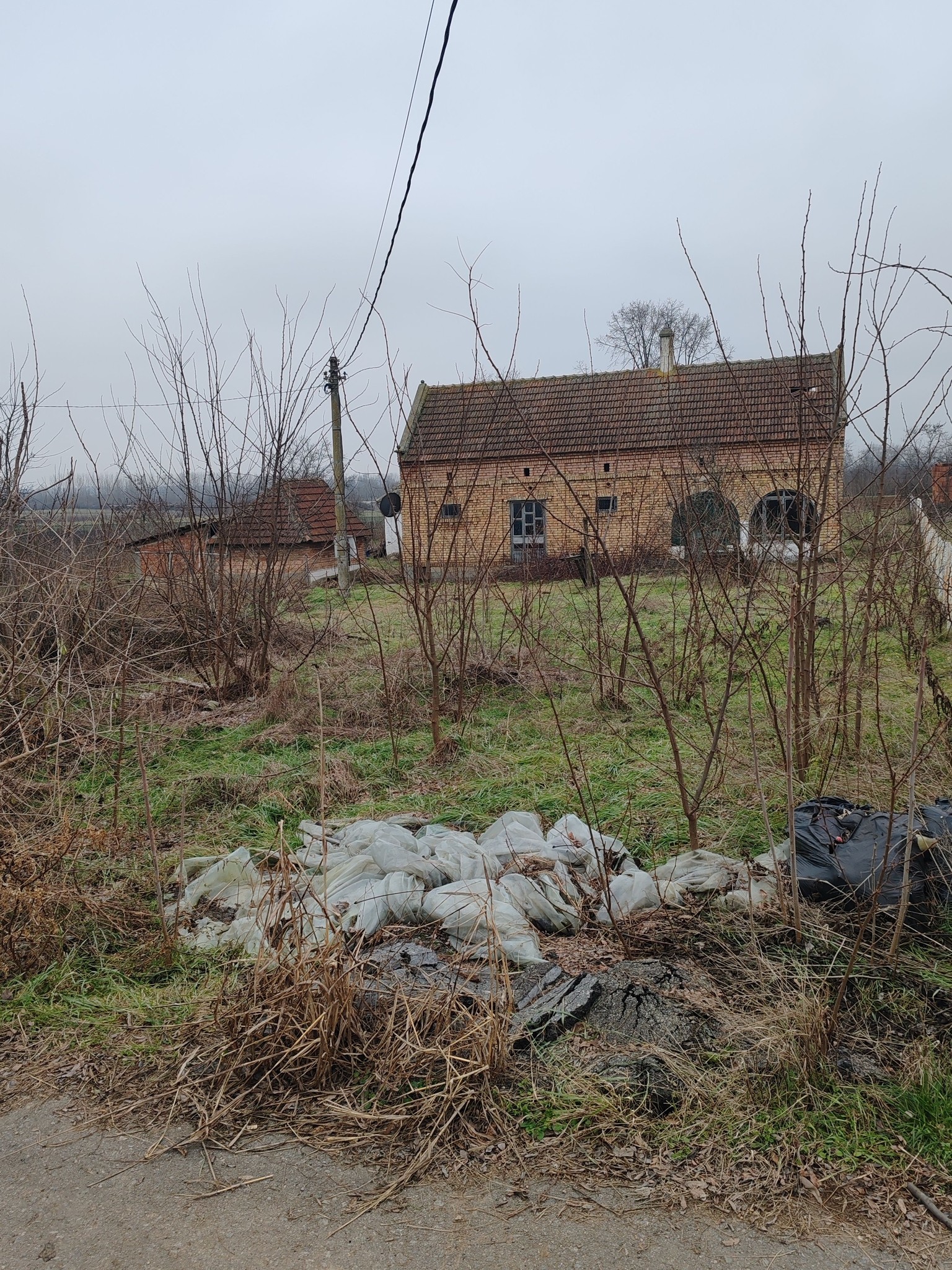 483514149_122225968766082812_8803762285160998568_n