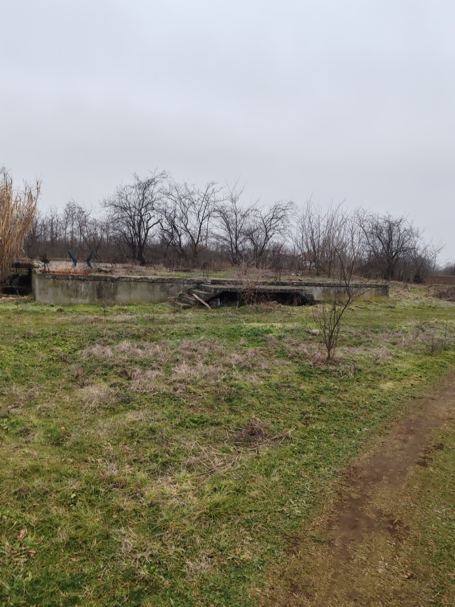 484697765_122225968376082812_3202415373347412741_n