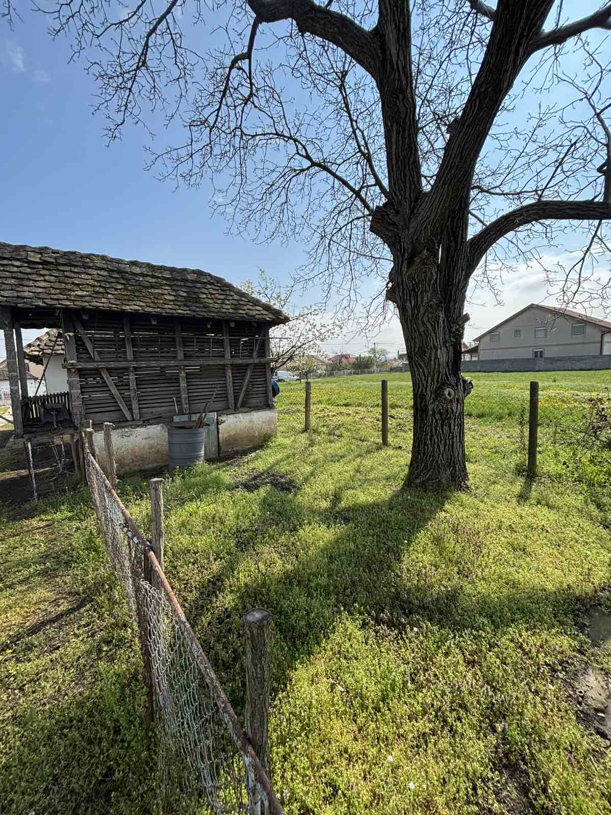 487507157_122230184144082812_4867775201495929821_n