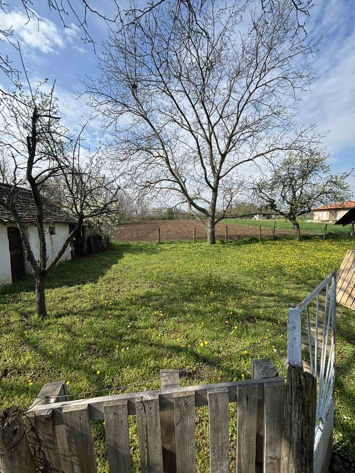 488618585_122230184270082812_6196064825999720739_n