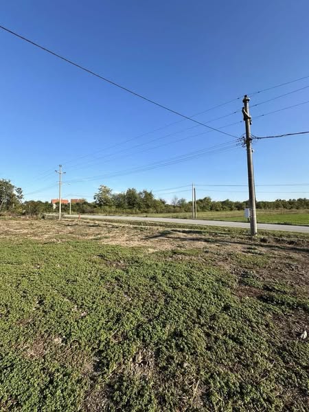 481077760_122223703424082812_6515863292324260788_n