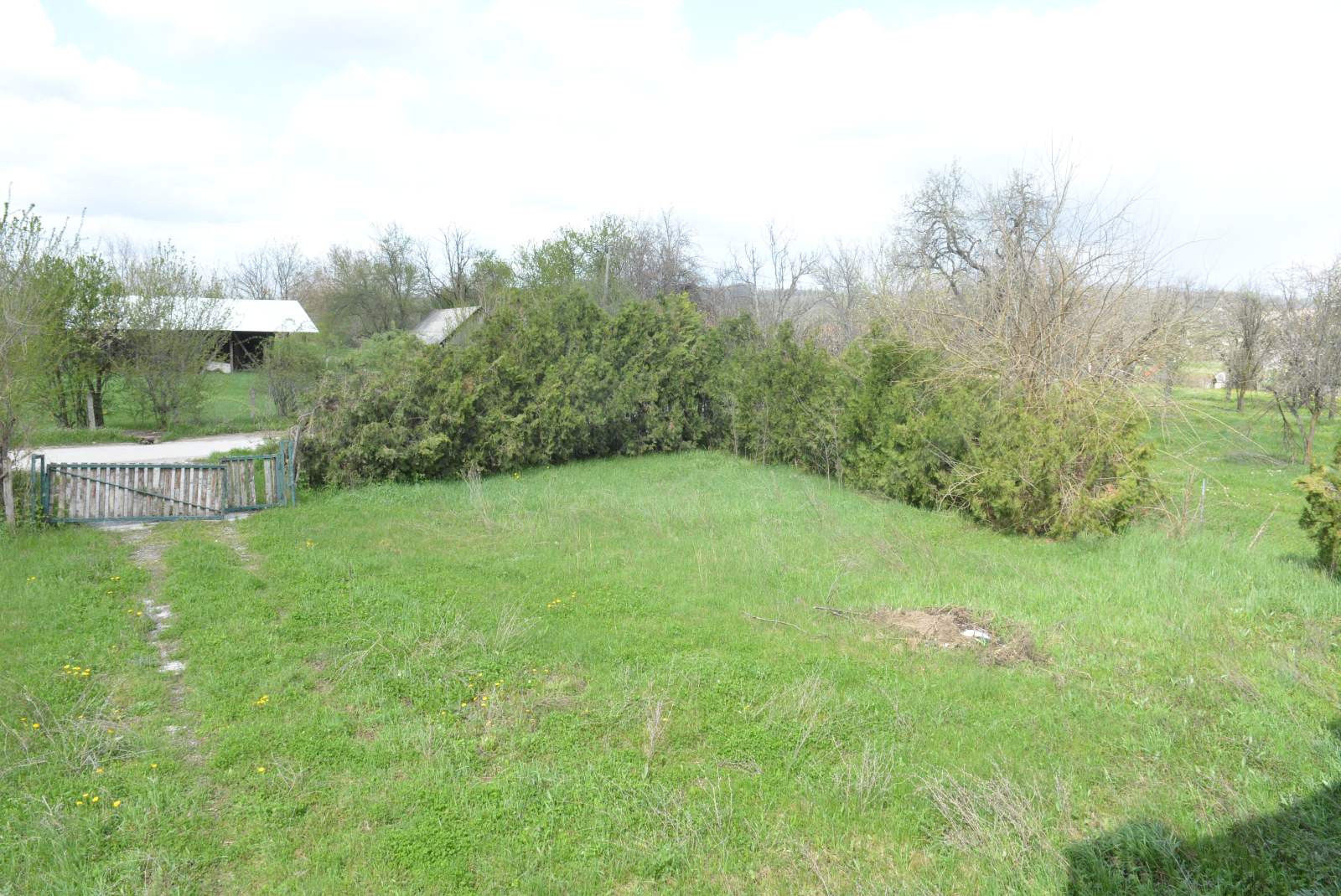 491290840_122233660856082812_3719562820324916287_n