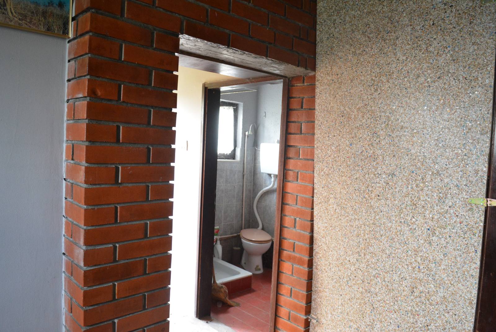 491644717_122233661174082812_428704059881474137_n