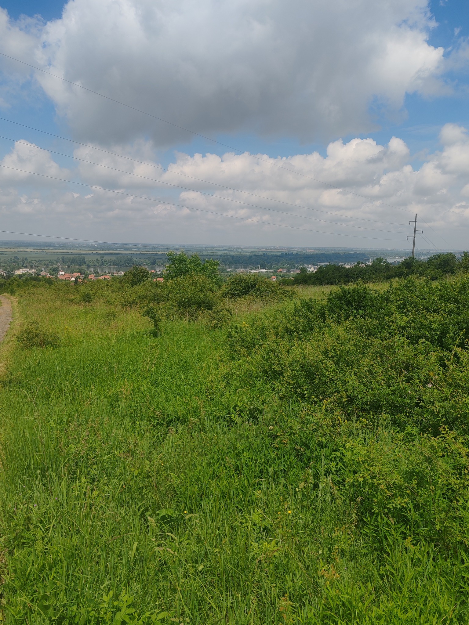 499535991_122239207454082812_2476056313169798517_n