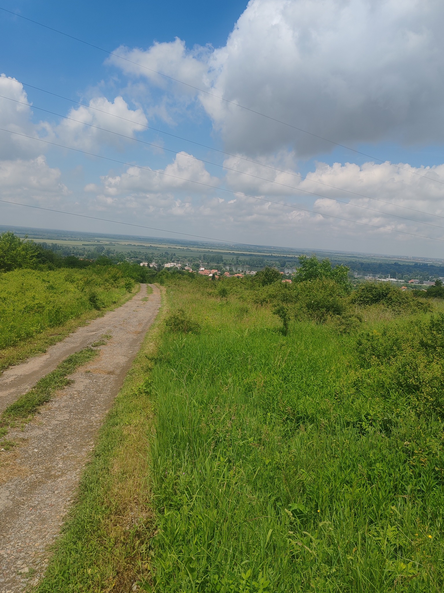 499600512_122239207724082812_7428073919646141645_n