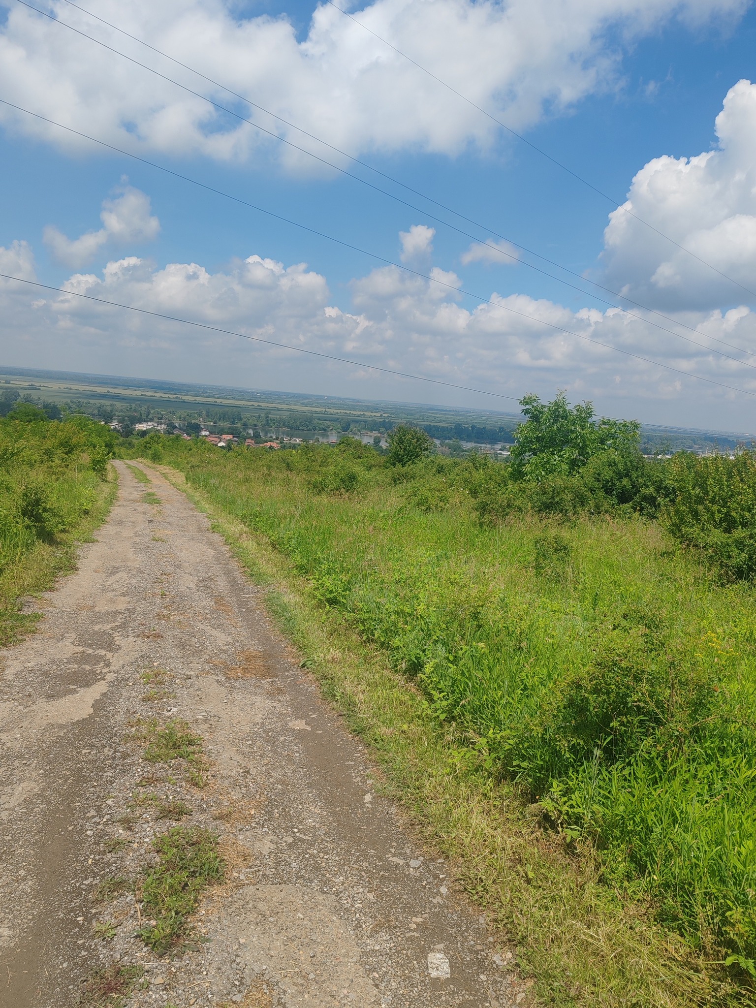 499642981_122239207682082812_4657438848914917310_n