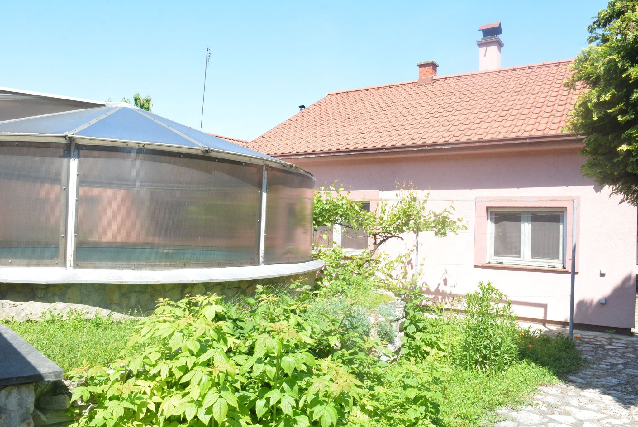 499713119_122239431668082812_8790249813052252329_n