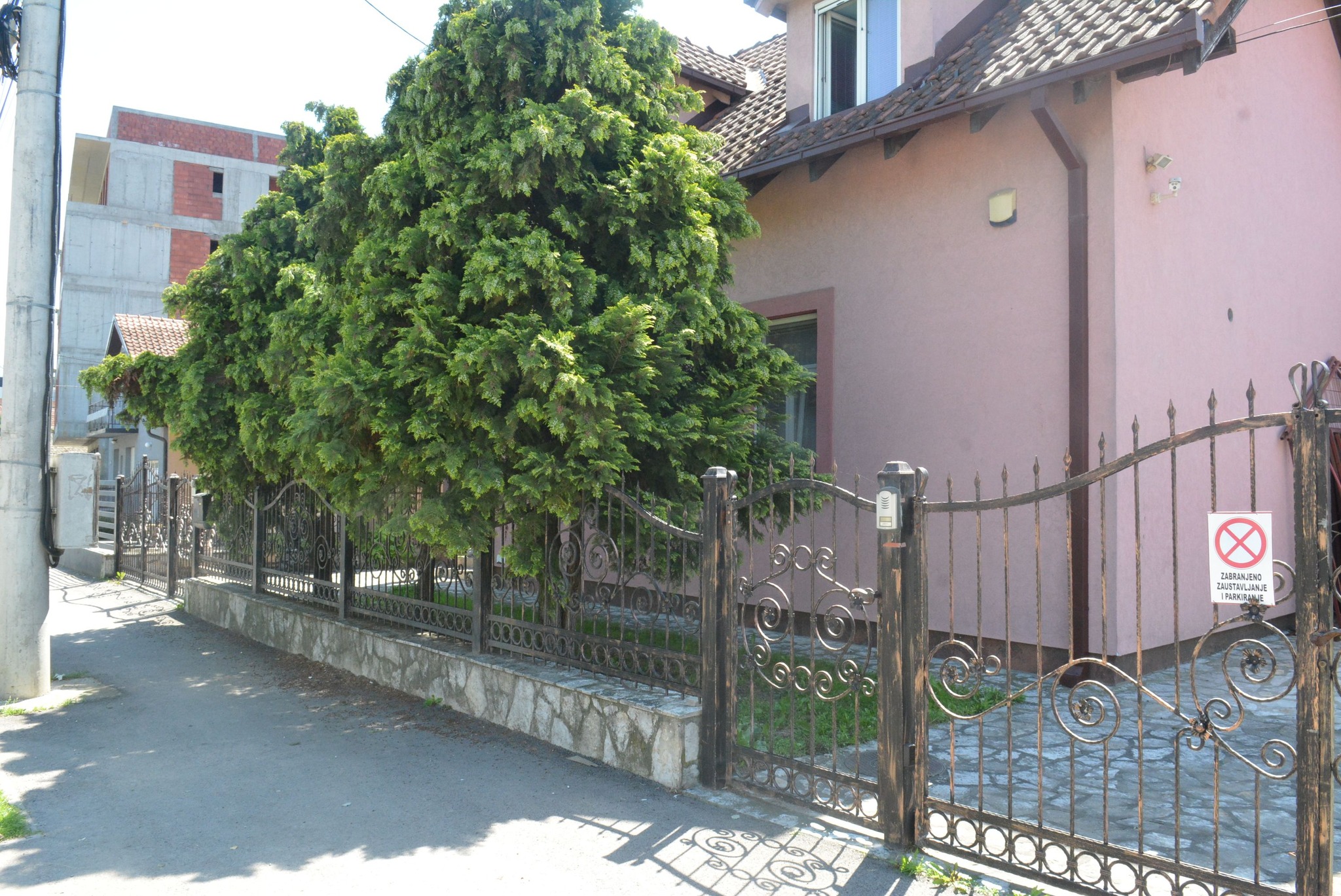 499801520_122239428080082812_6957628565981599234_n