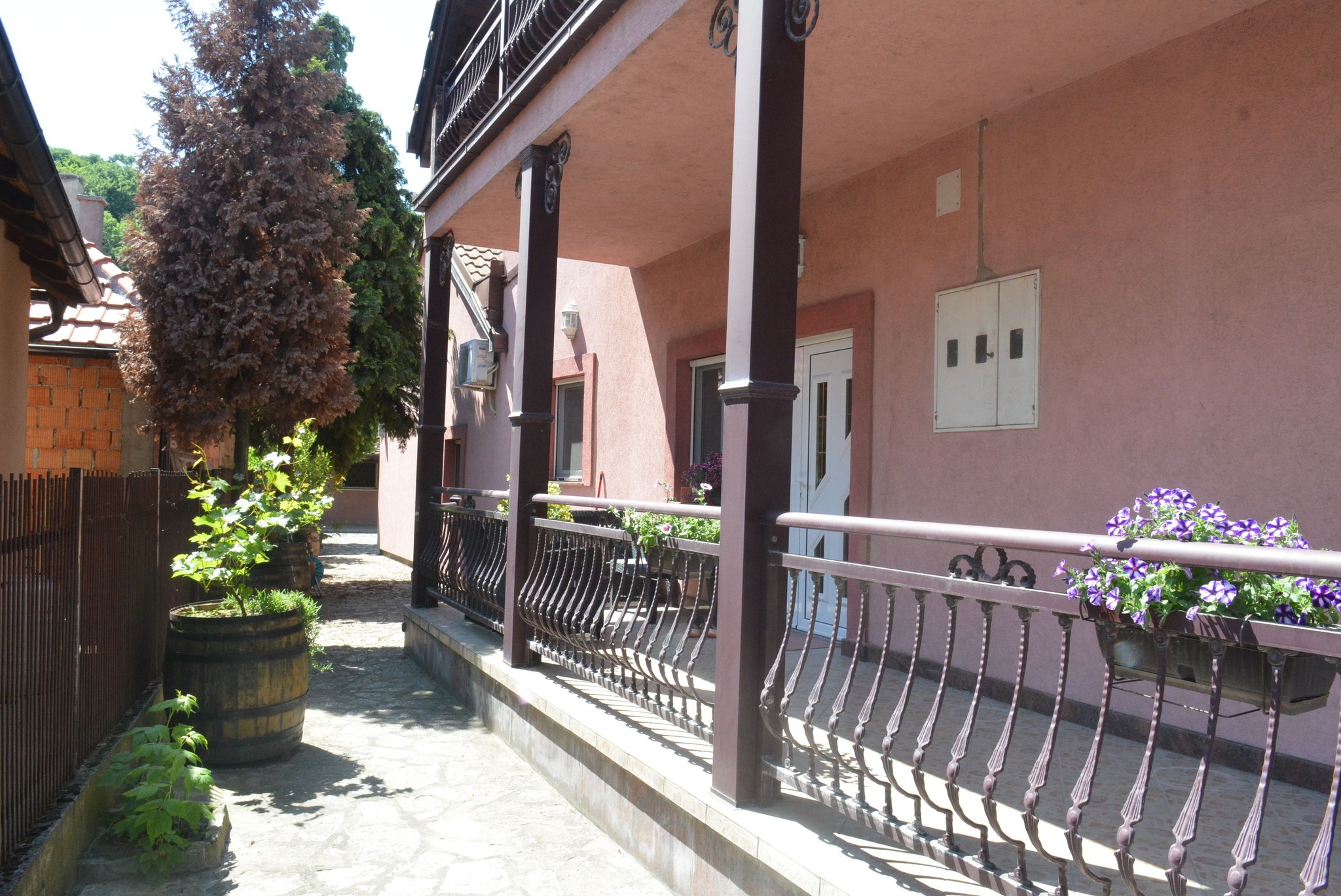 500257105_122239428866082812_6792163378939204584_n