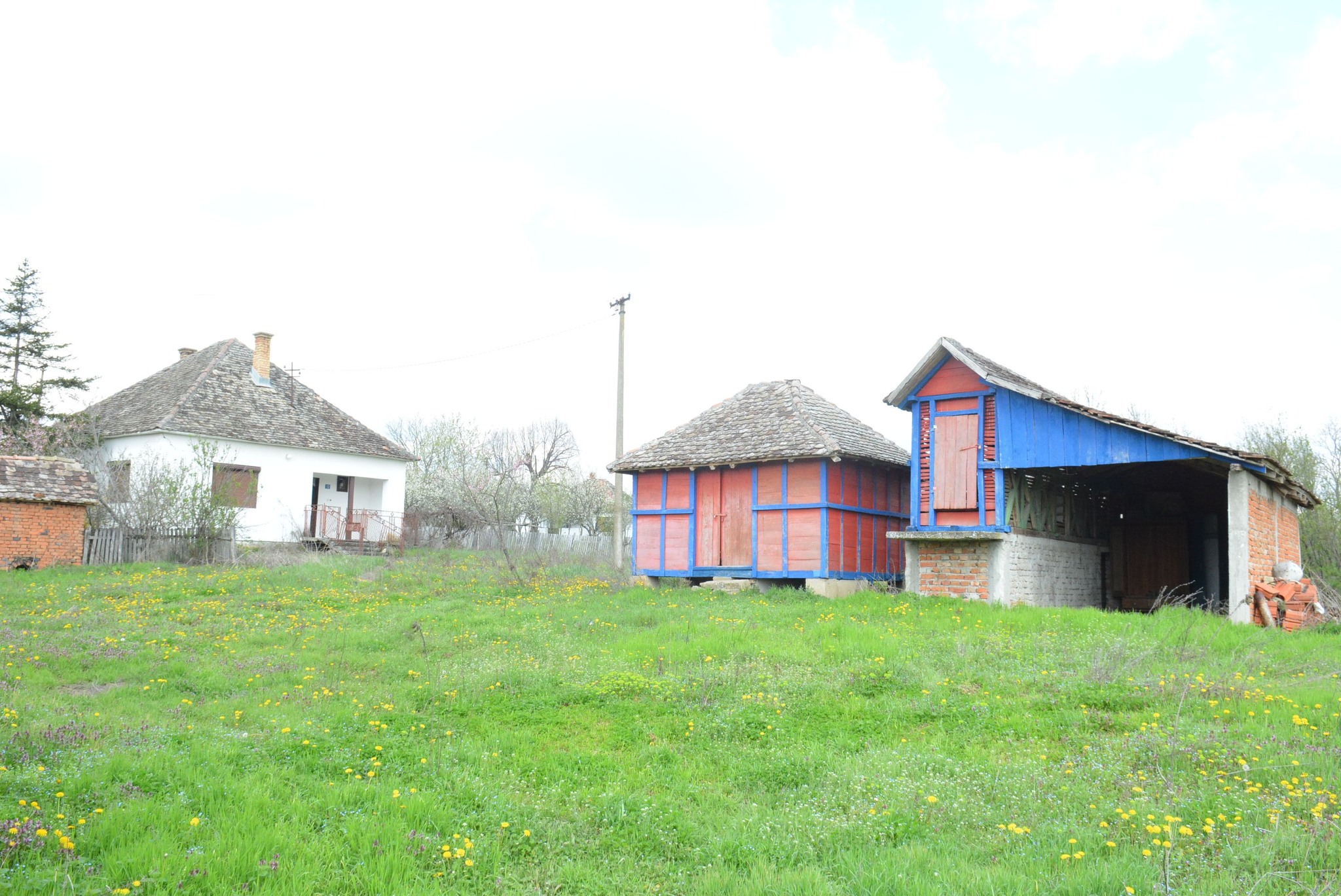 504002185_122241793226082812_8284948110351917634_n