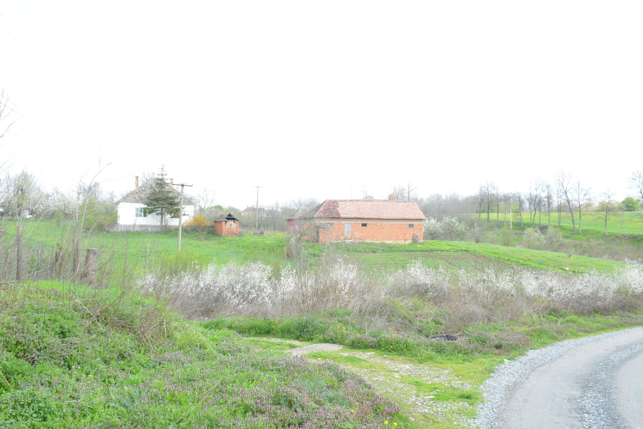 504071614_122241793304082812_5640752352193385726_n