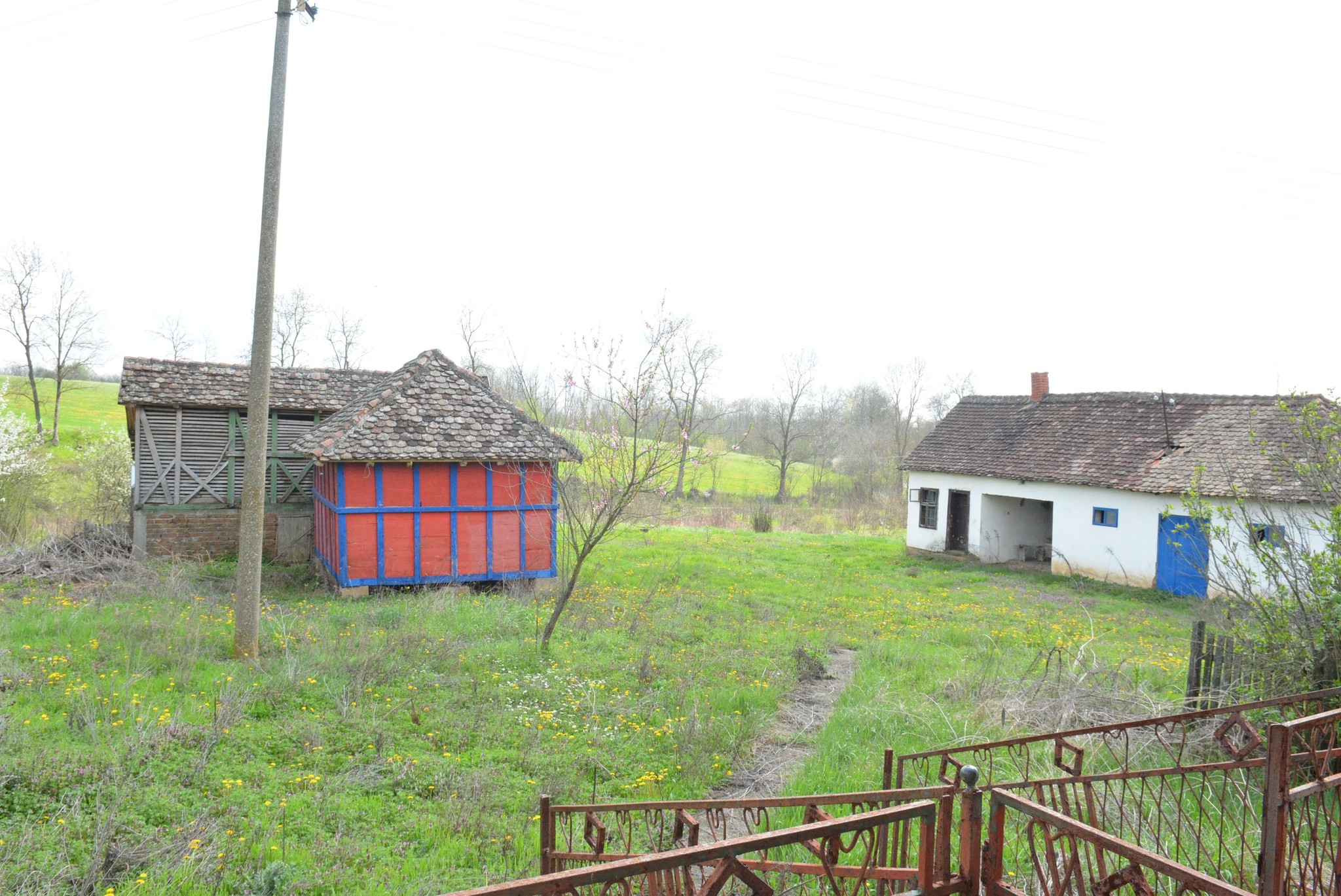 504141810_122241793610082812_9068898754505831508_n