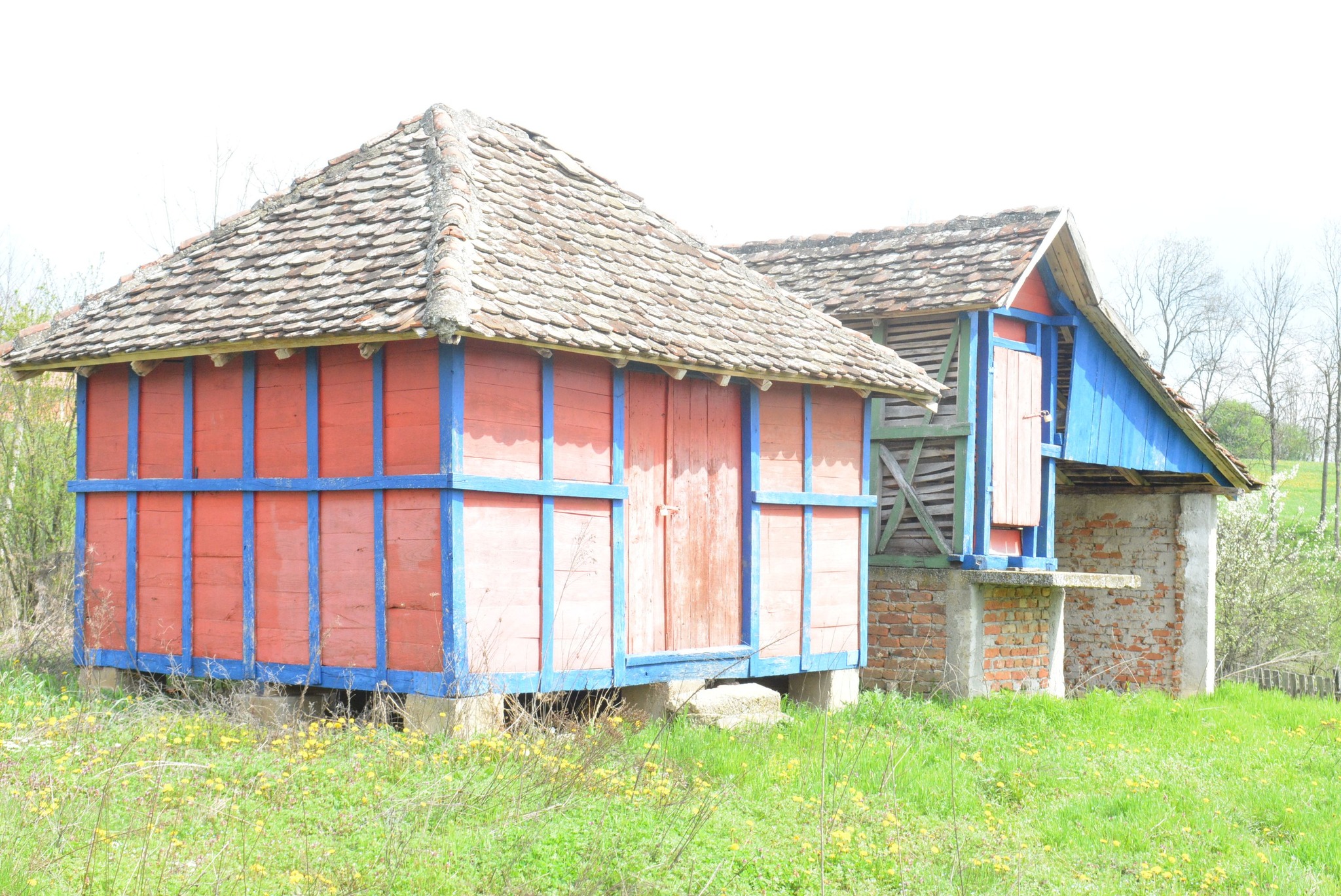 504143833_122241793712082812_6260457246837857877_n