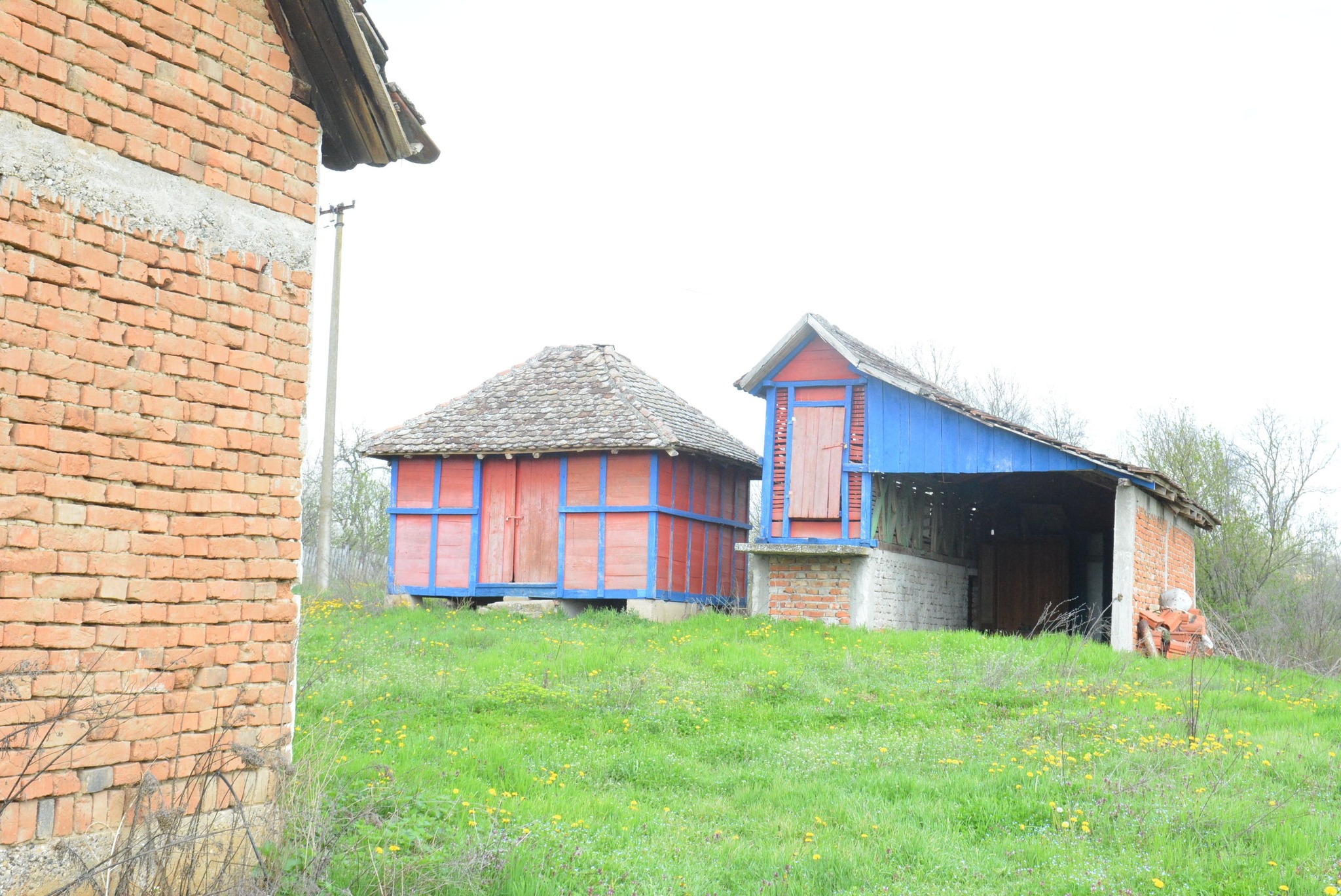 504191125_122241793130082812_5667012818675649668_n