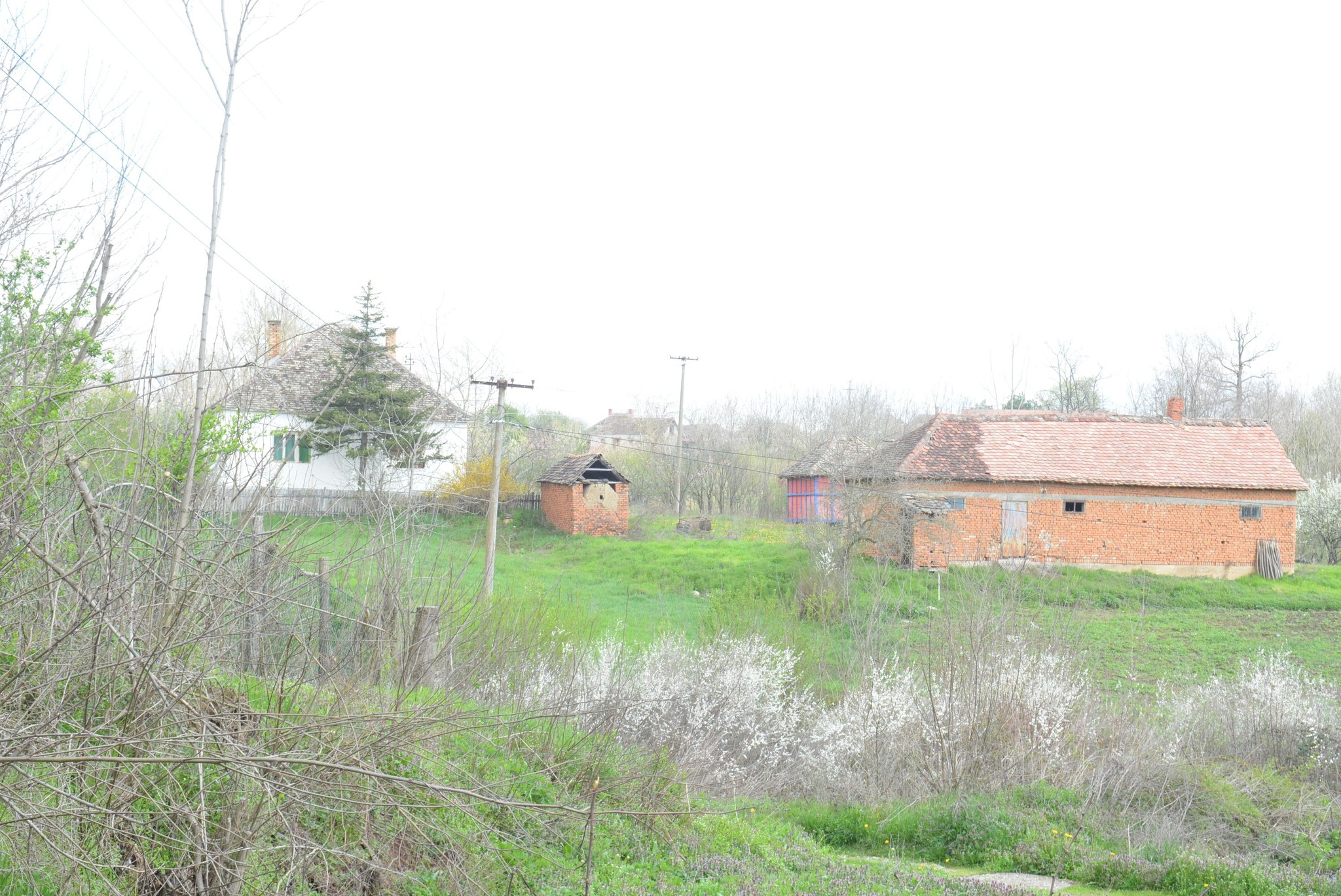 504353376_122241793382082812_1099307215560533205_n