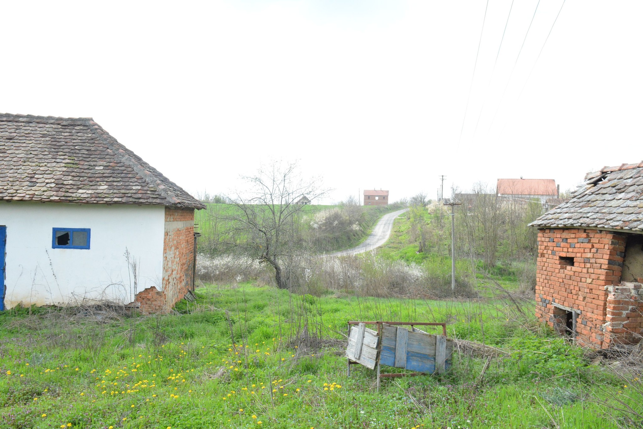 504419092_122241793328082812_6335039283992371051_n