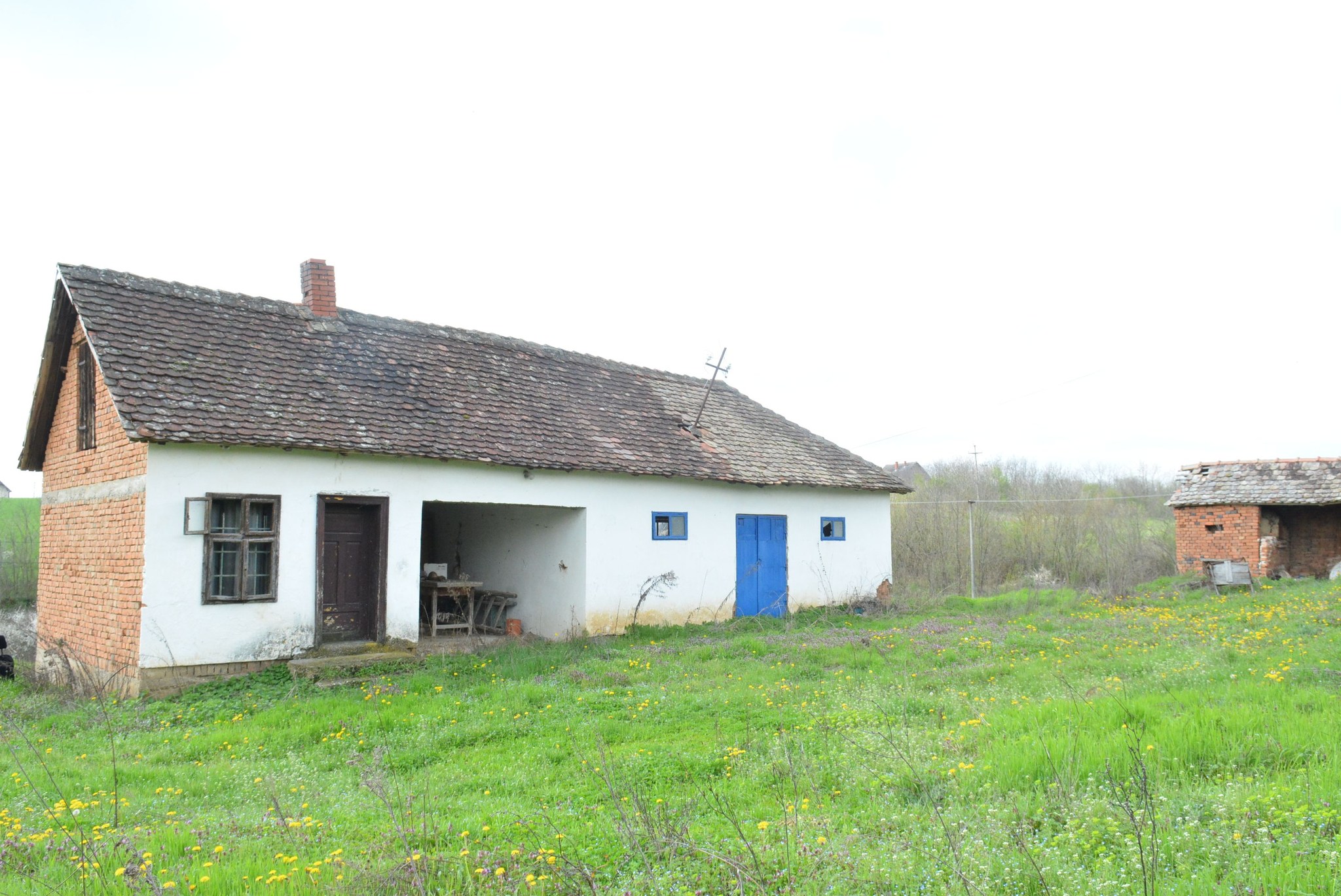 504636738_122241793268082812_7345794348823055058_n