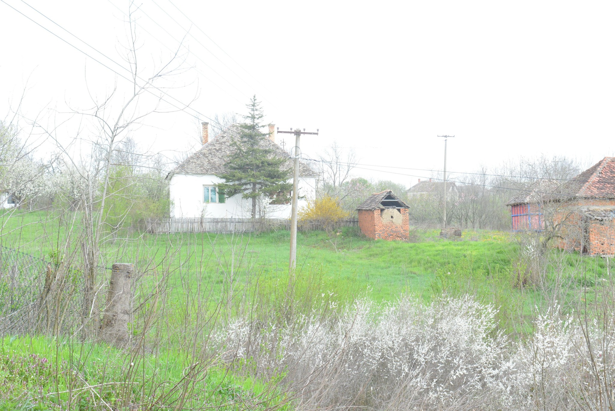 504983115_122241793532082812_4503996962061221682_n