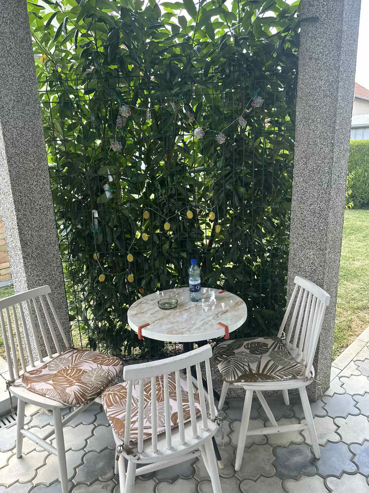 viber_slika_2025-06-18_15-01-12-858