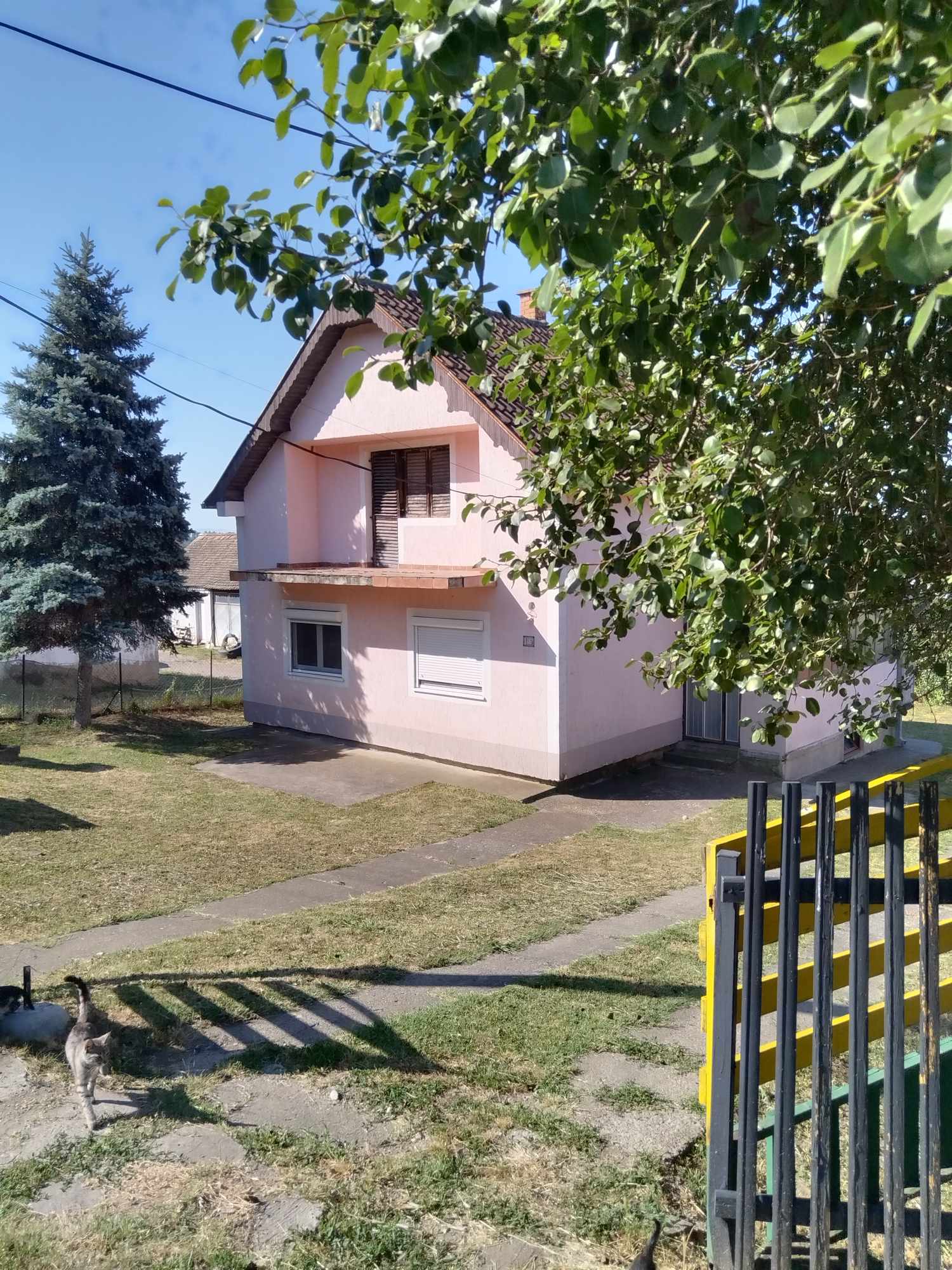 516206715_1461143048266243_7110624214299269209_n