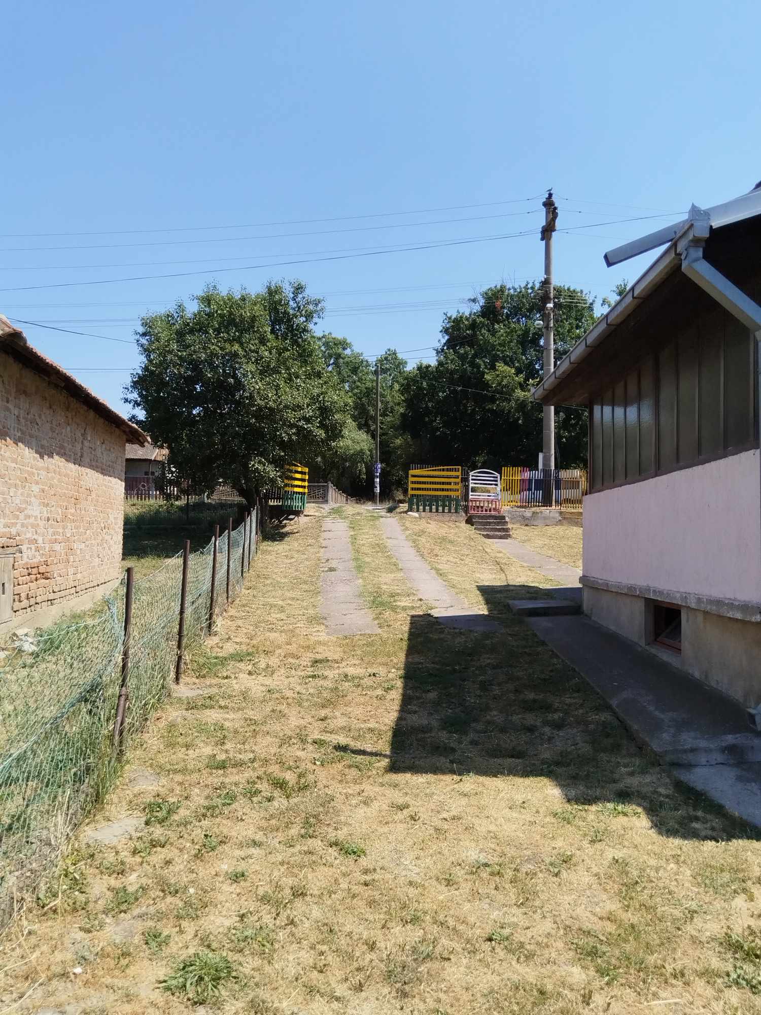 517347223_1264454401873645_2976880036320752070_n