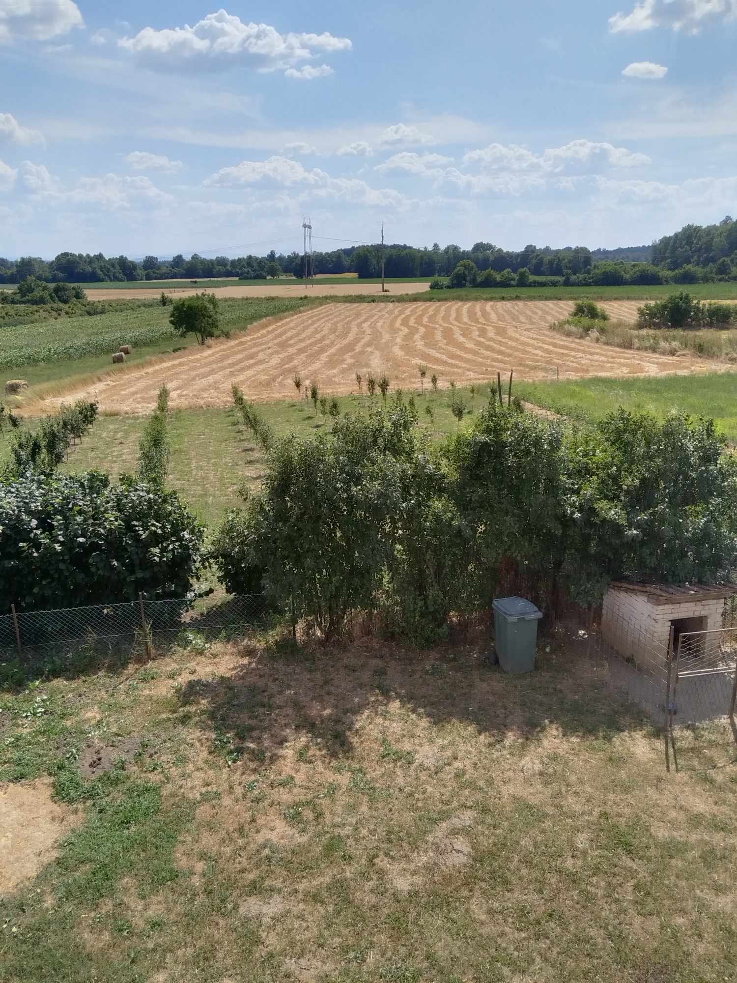 517354913_758127403273546_5869636042052847561_n