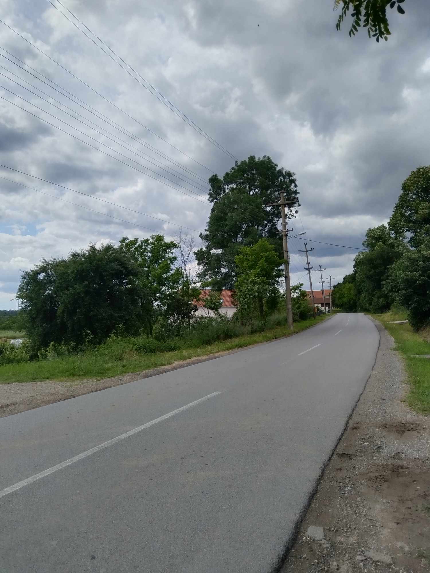 517958171_1651788498814812_5759303613548252442_n