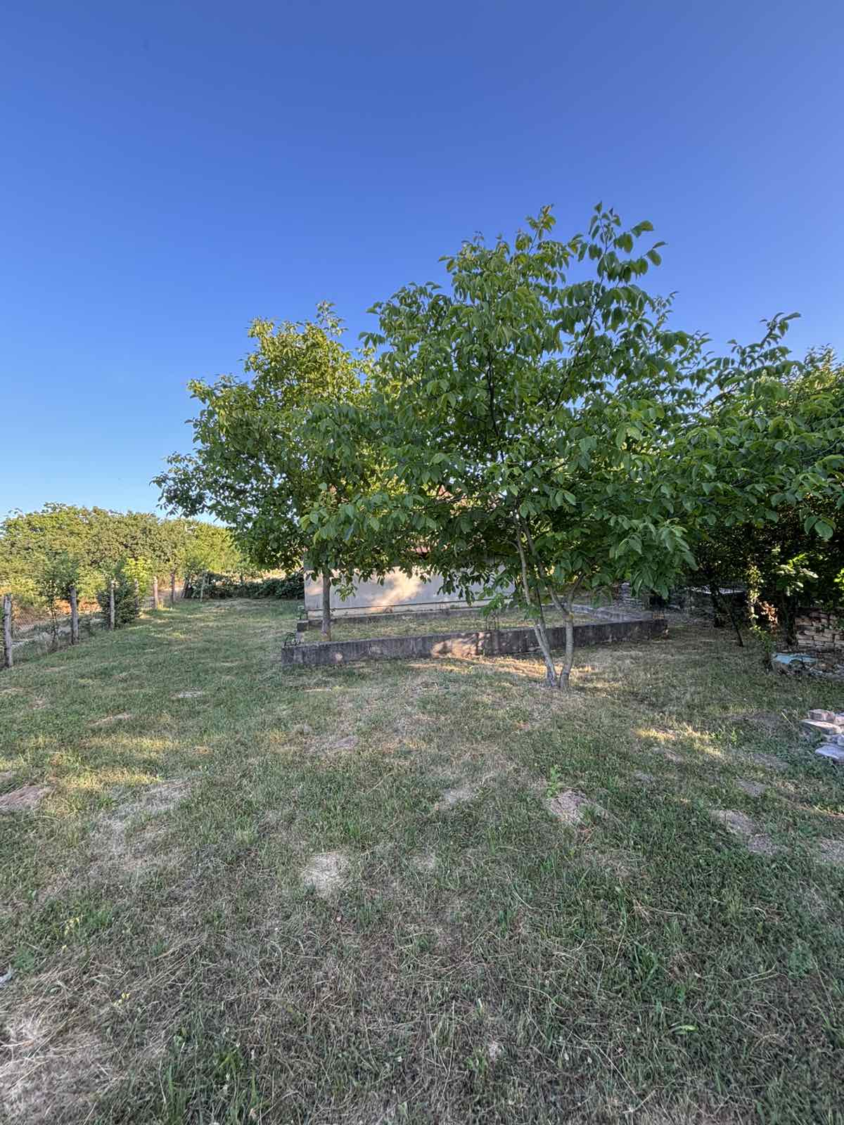 viber_slika_2025-06-24_11-43-37-518