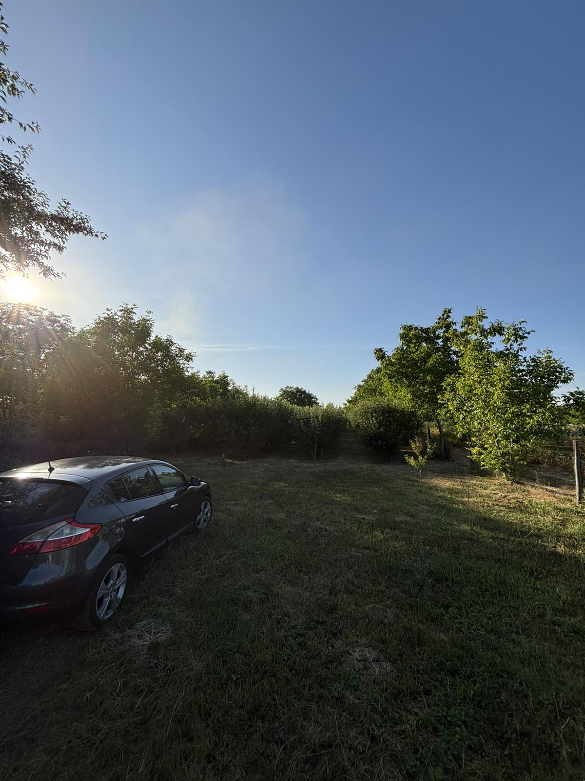 viber_slika_2025-06-24_11-43-42-734