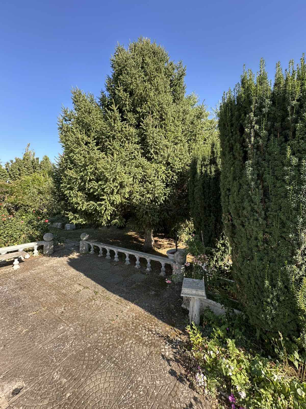 viber_slika_2025-07-02_14-19-46-442 – Copy