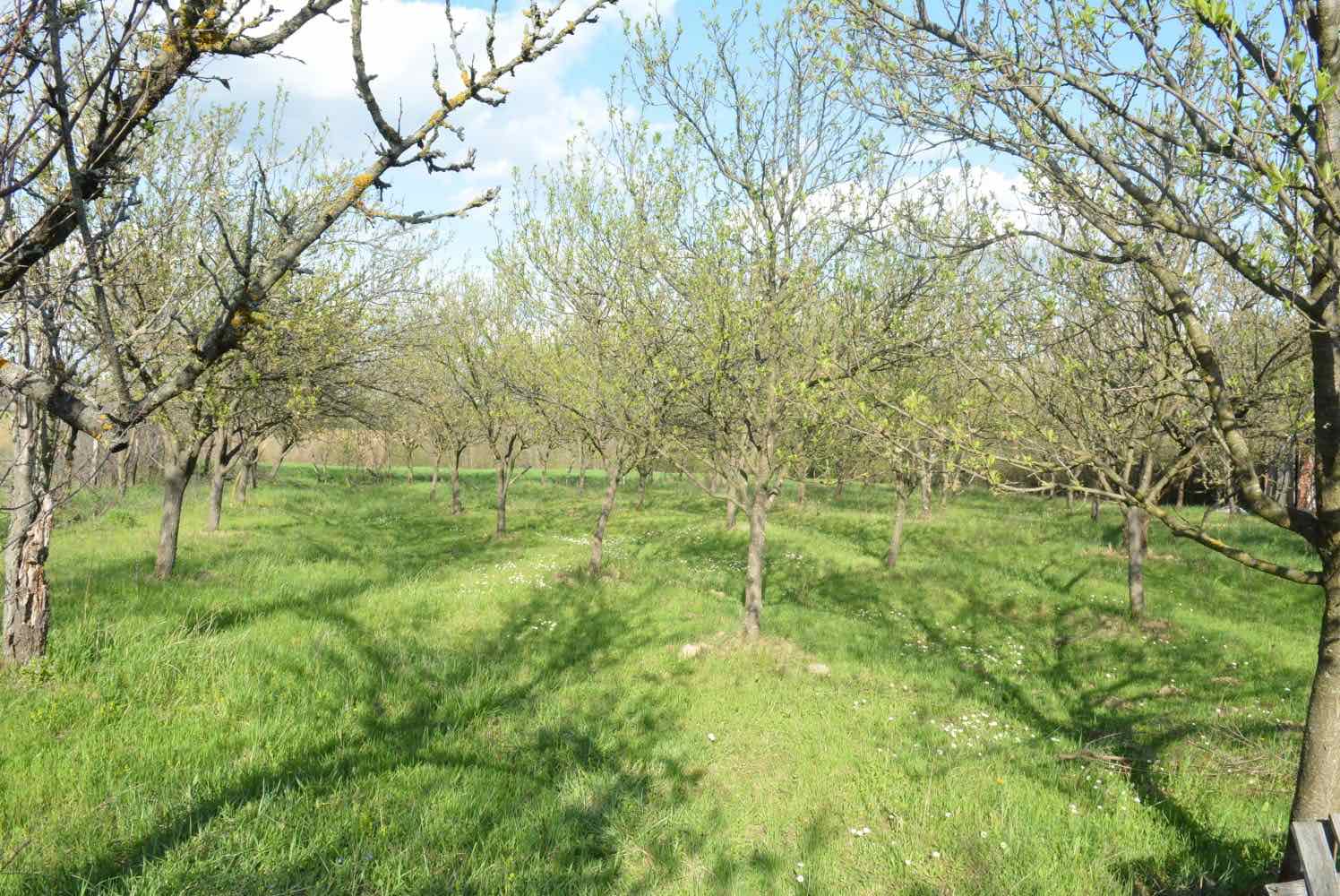 viber_slika_2025-07-08_10-36-40-549