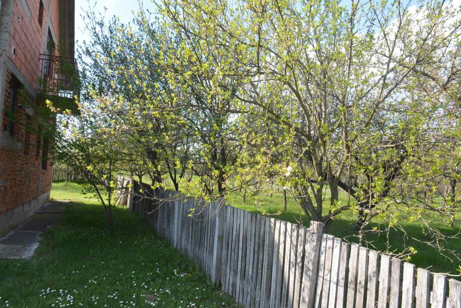 viber_slika_2025-07-08_10-36-43-163