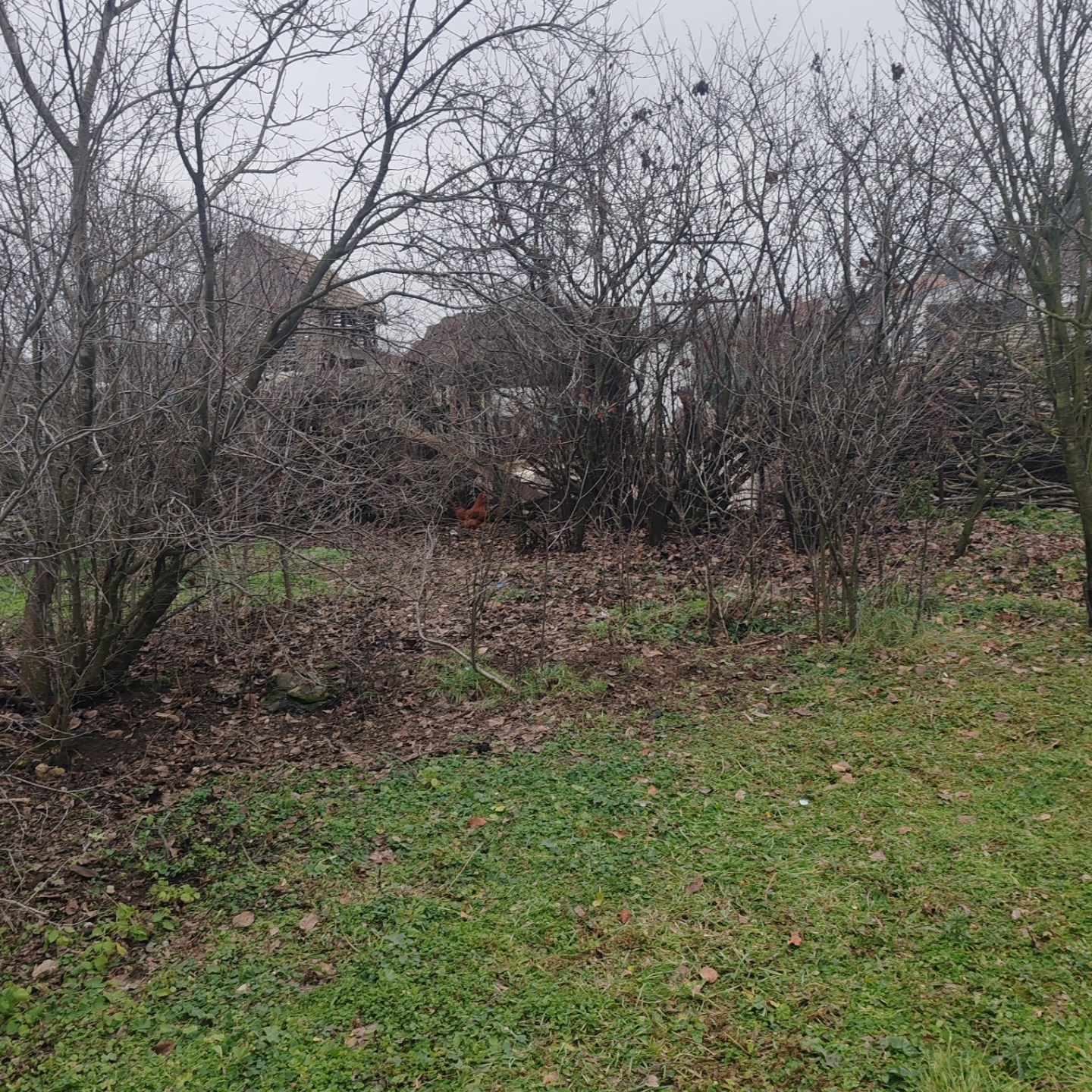 483525442_122225949428082812_6789228541835901363_n