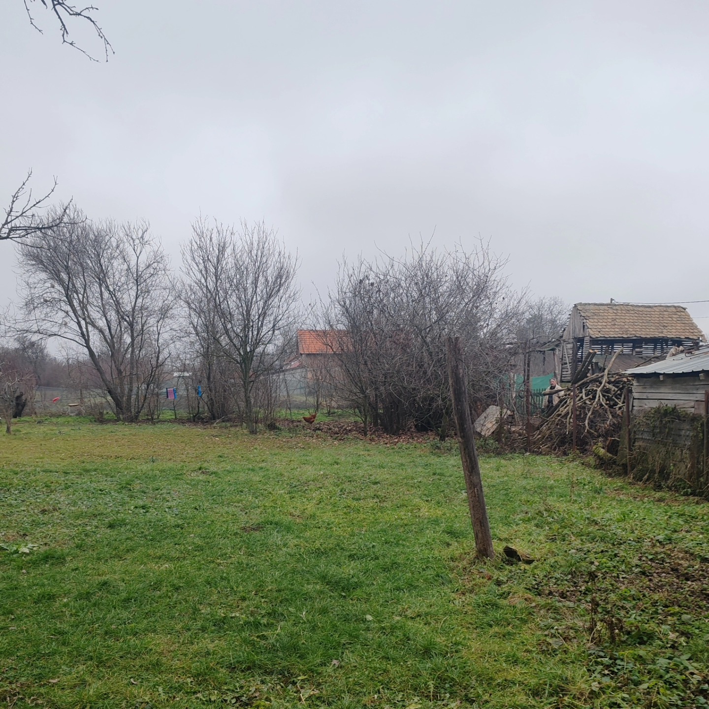 484484476_122225948864082812_9012698566136954876_n