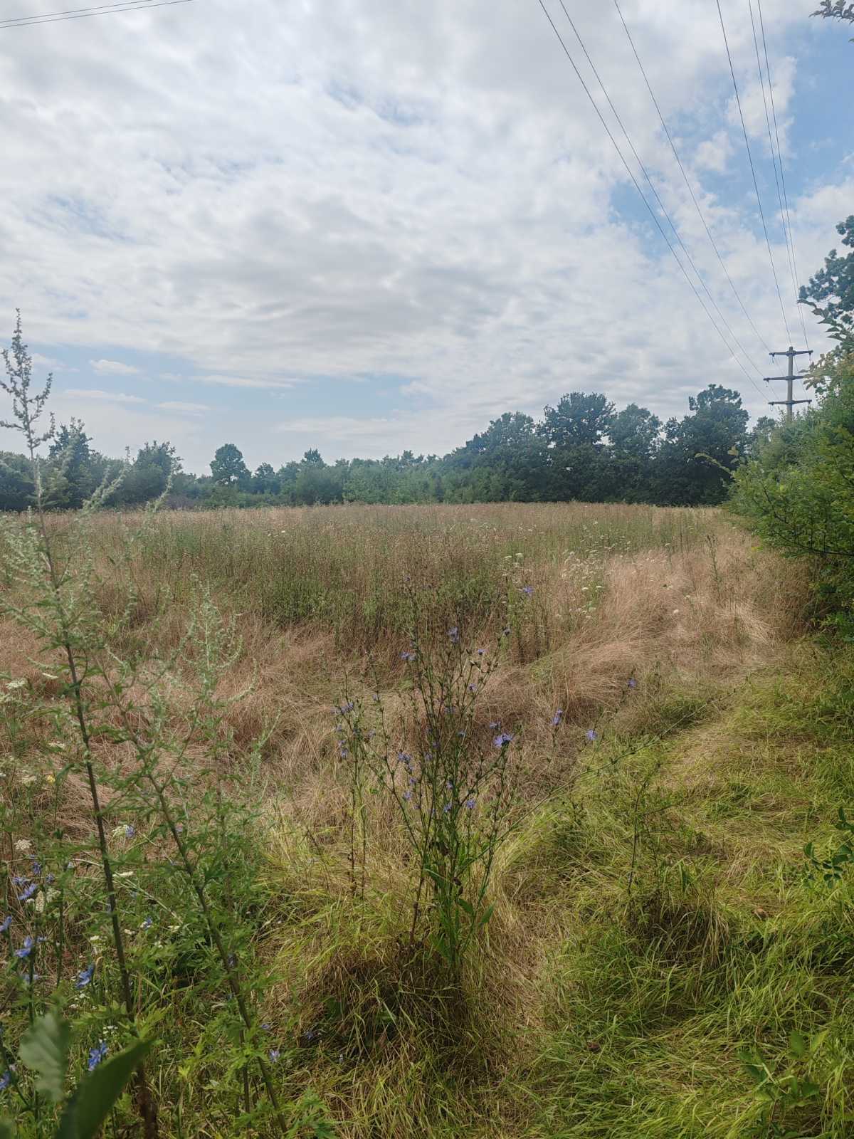 viber_slika_2025-07-27_12-44-29-200