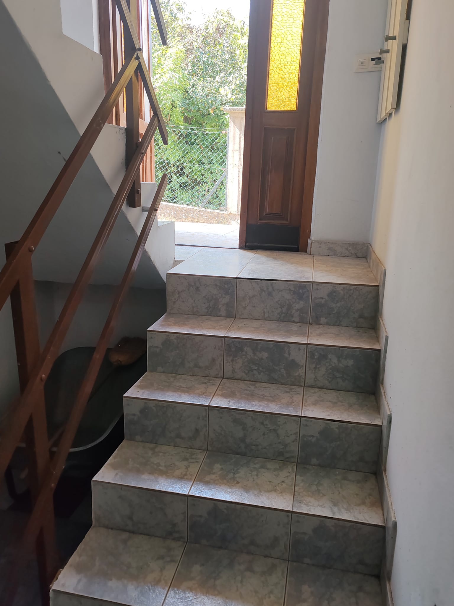 481766429_122223364454082812_1244303049210065070_n