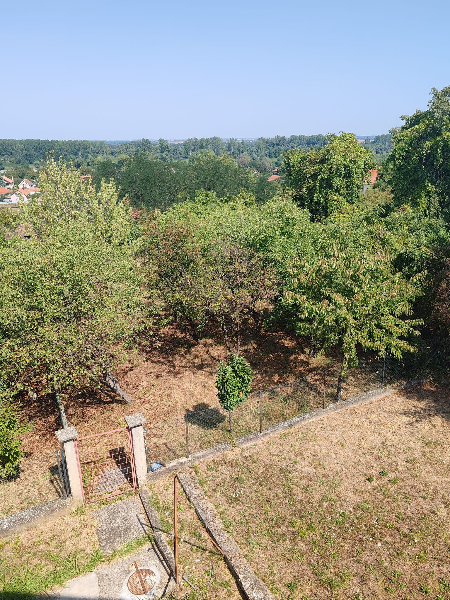 481970827_122223364520082812_3583629205510194203_n