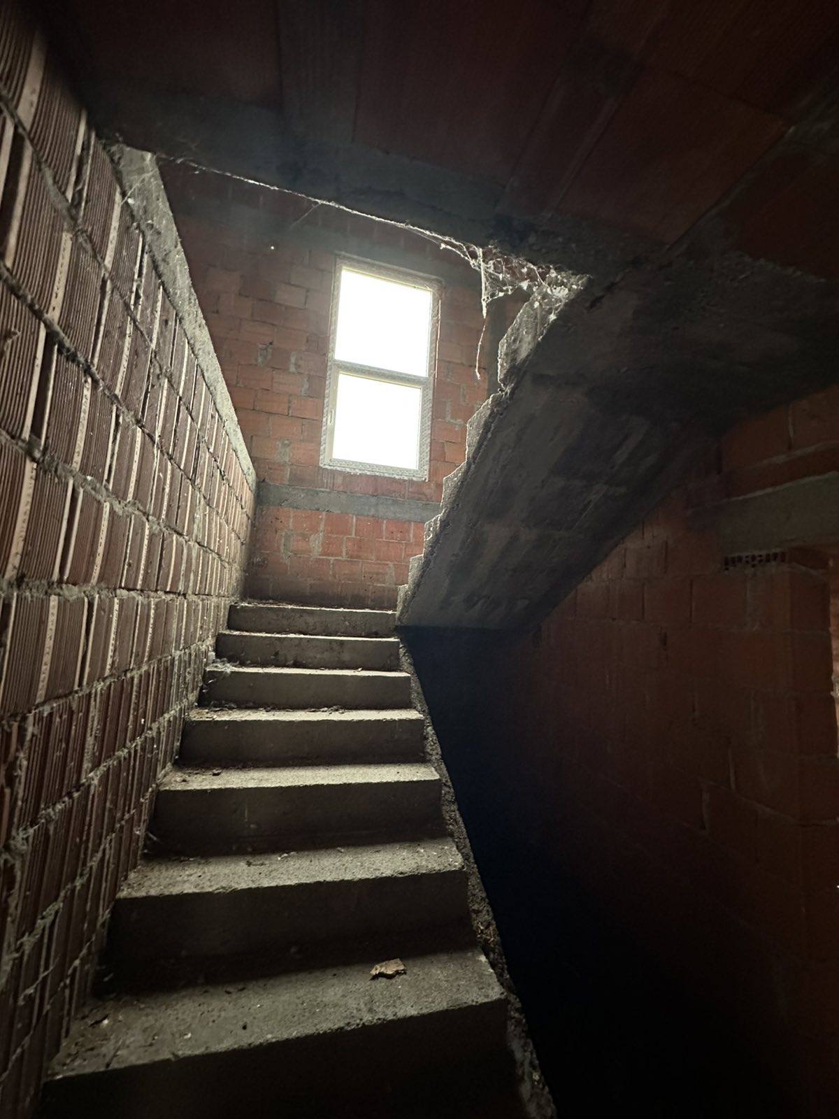 490357471_122231402552082812_3639393373532413876_n