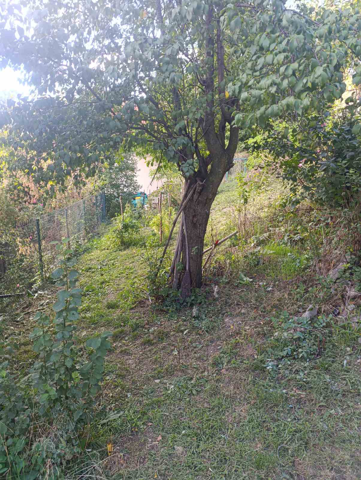 viber_slika_2025-09-17_16-57-14-660