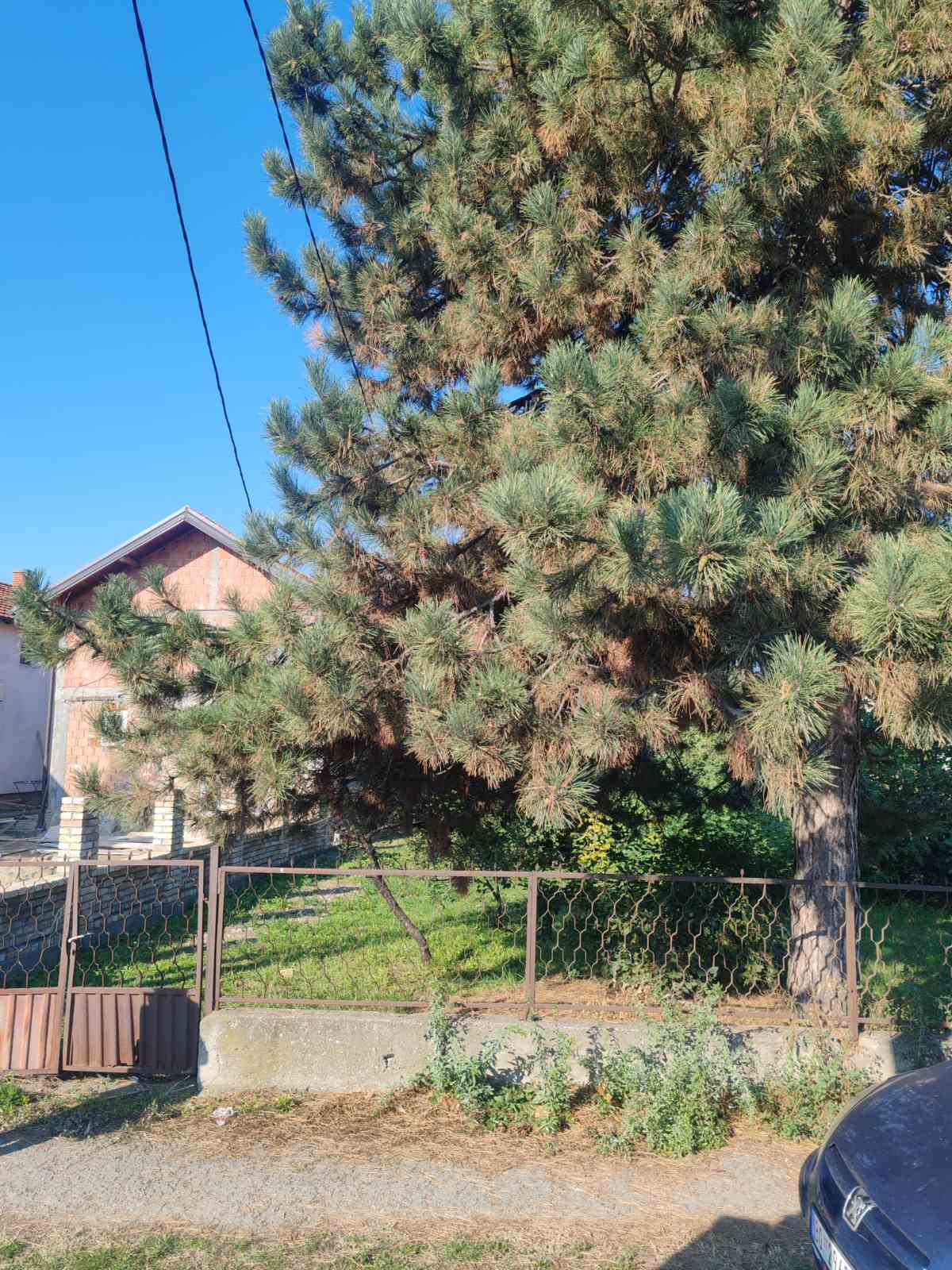 viber_slika_2025-10-23_14-47-26-412