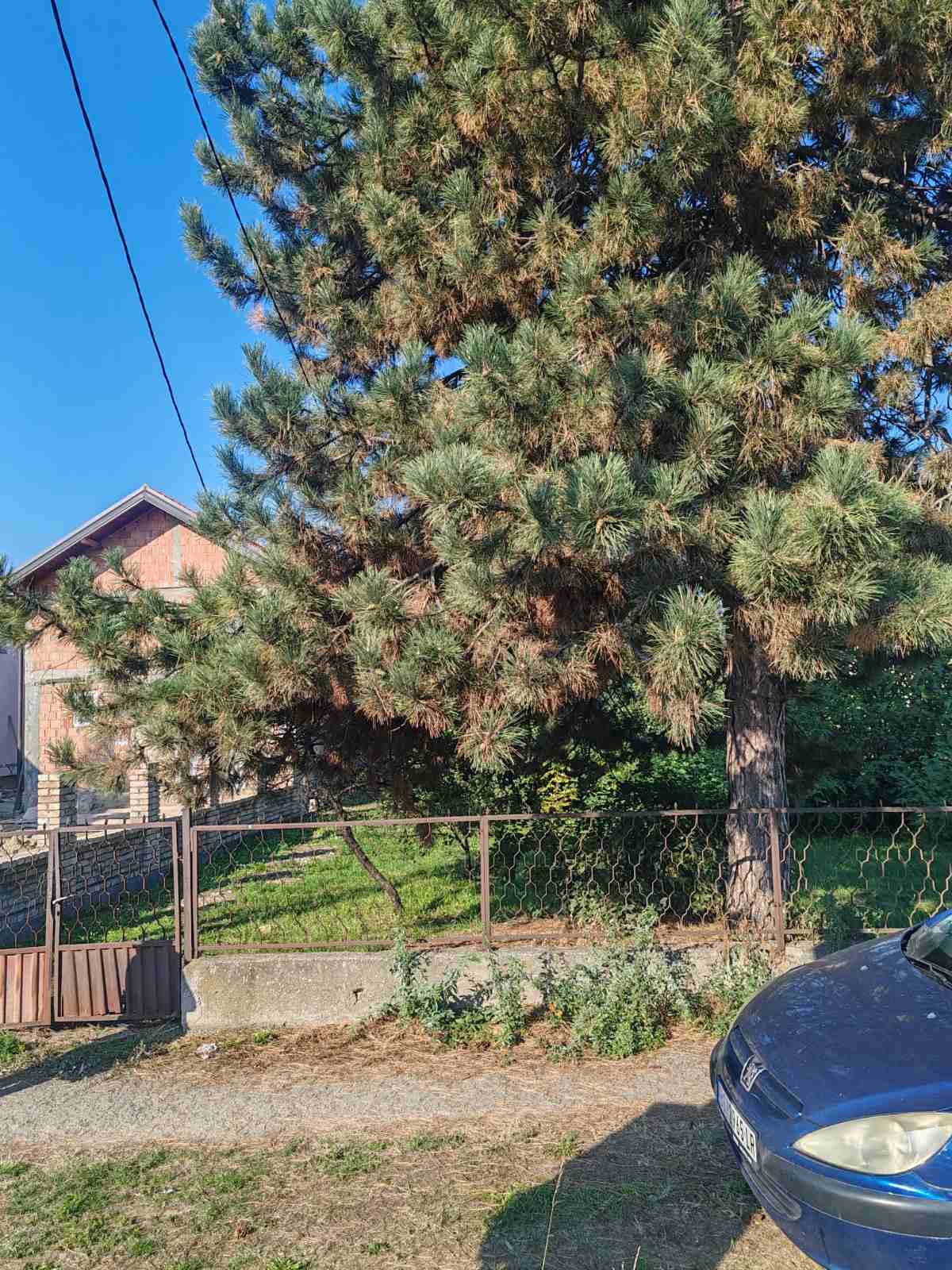 viber_slika_2025-10-23_14-47-26-480