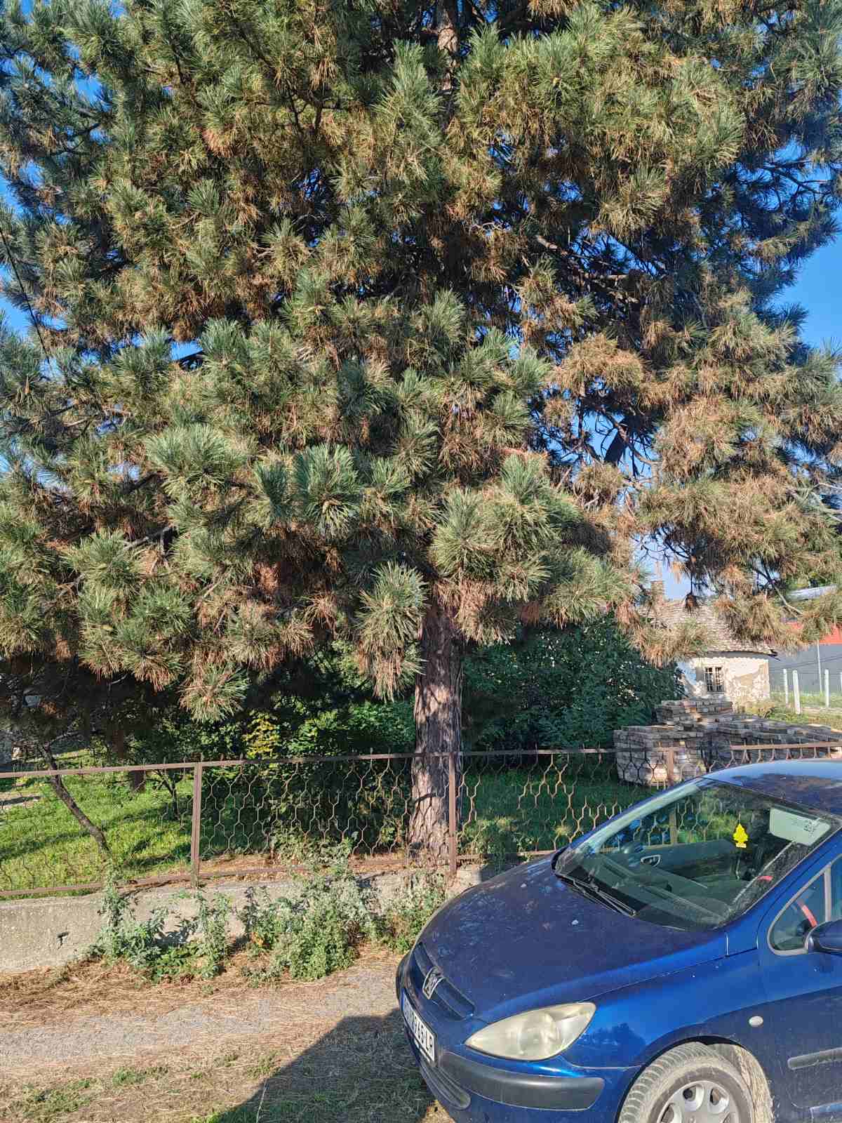 viber_slika_2025-10-23_14-47-26-542