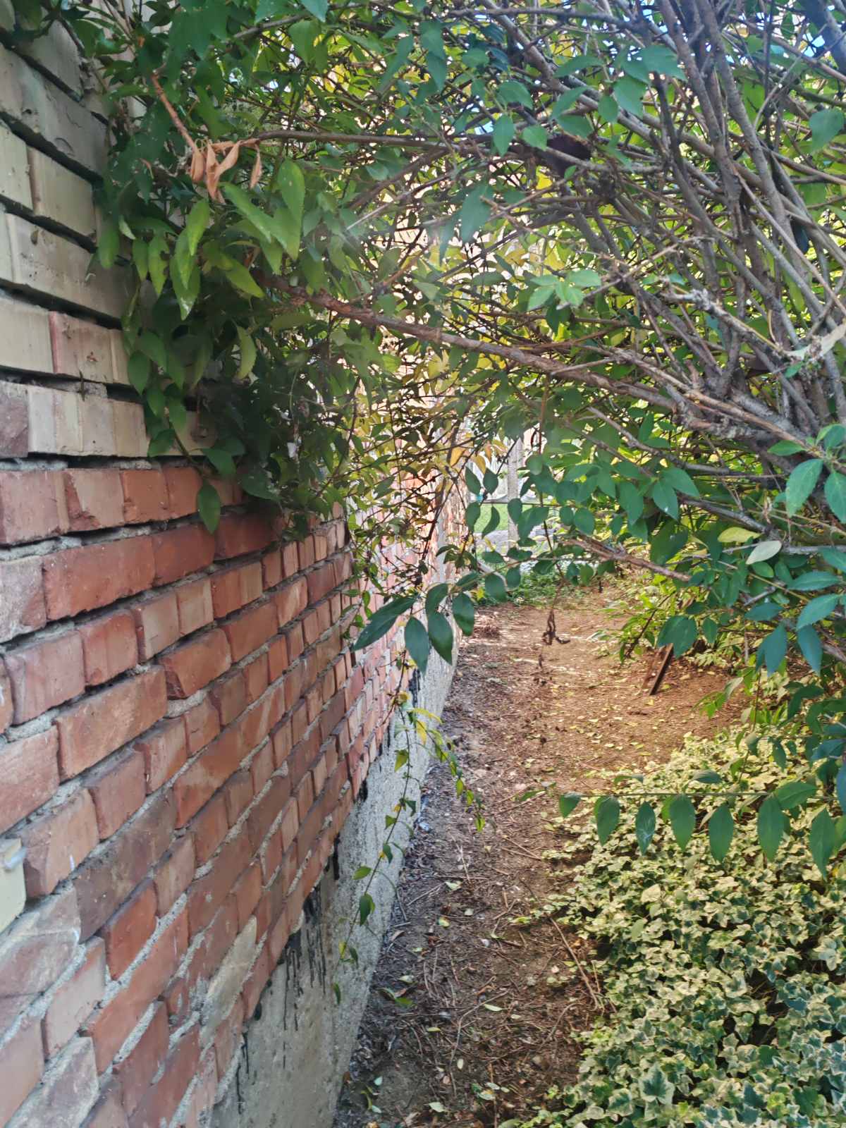 viber_slika_2025-10-23_14-47-26-880