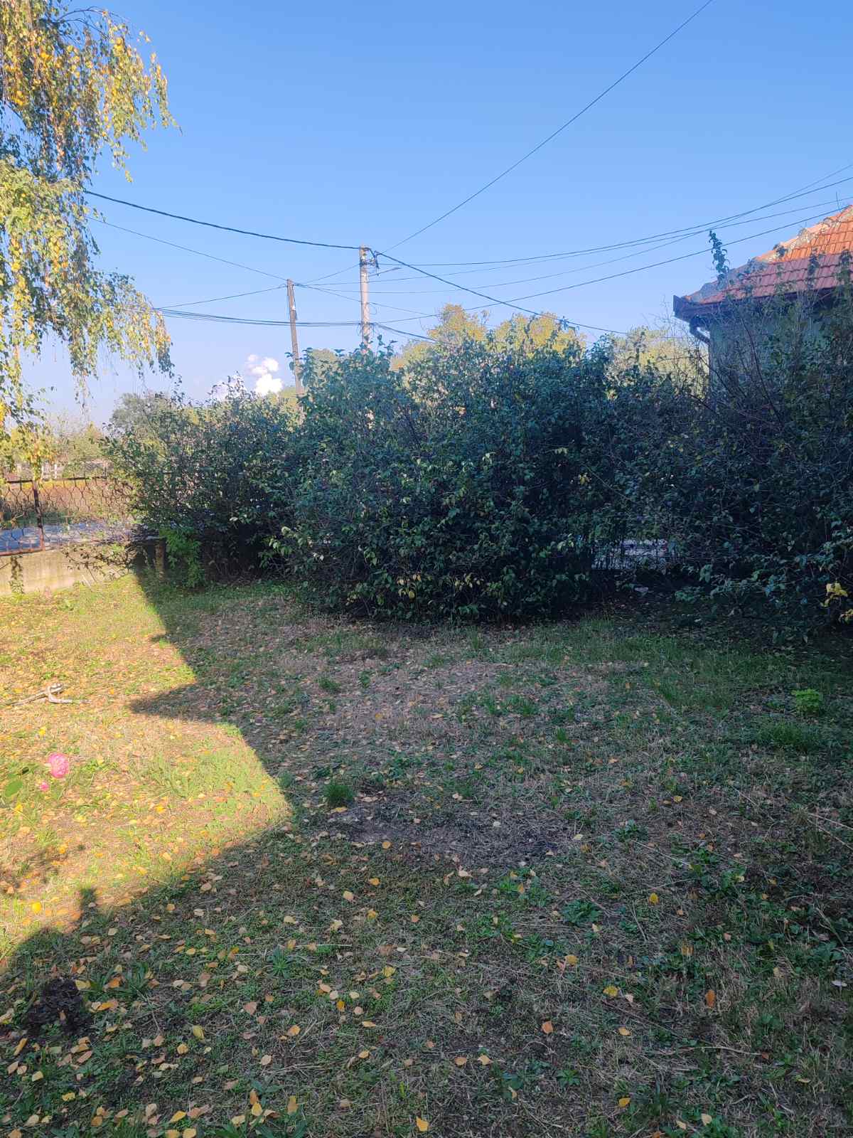 viber_slika_2025-10-23_14-47-27-054