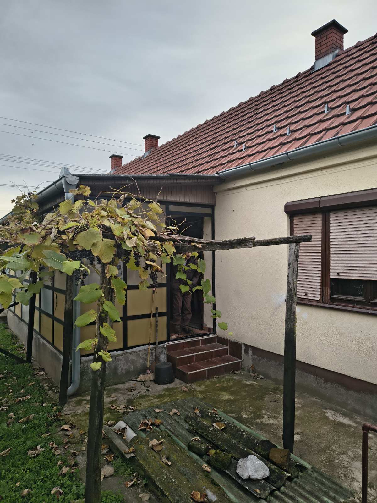 viber_image_2025-11-22_15-39-18-434