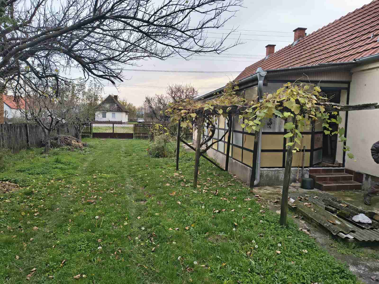 viber_image_2025-11-22_15-39-19-340