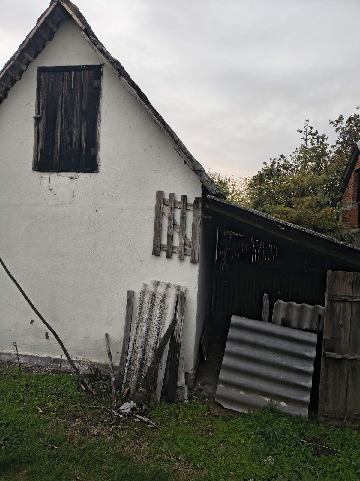 viber_image_2025-11-22_15-39-20-435