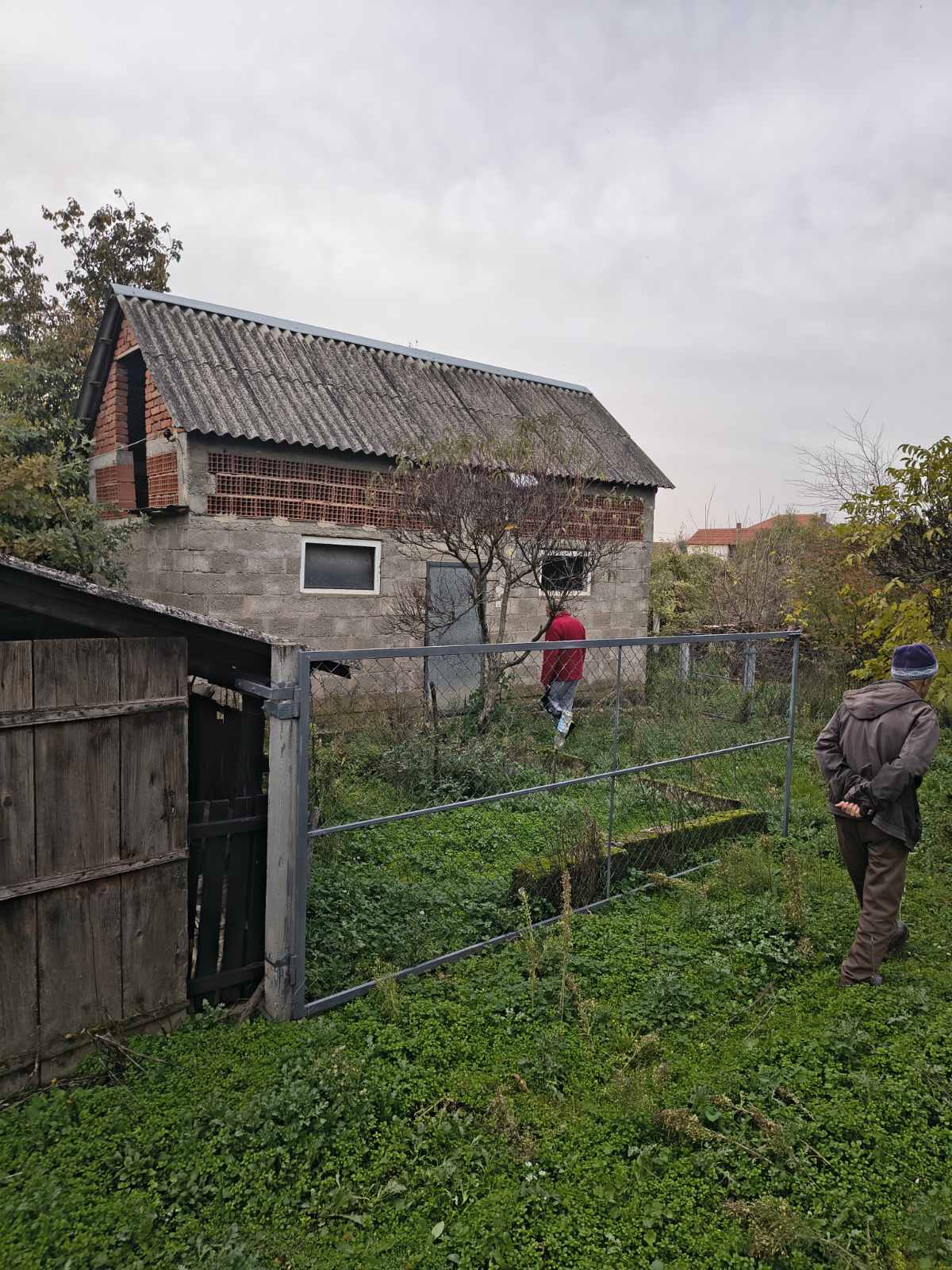 viber_image_2025-11-22_15-39-20-998