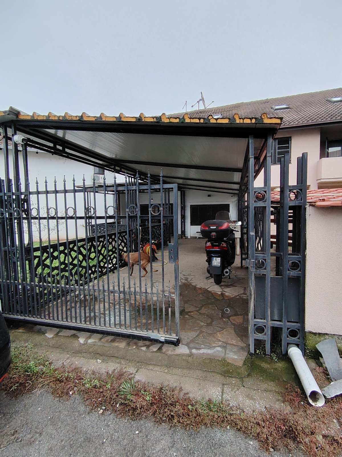 viber_image_2025-12-13_23-30-43-590