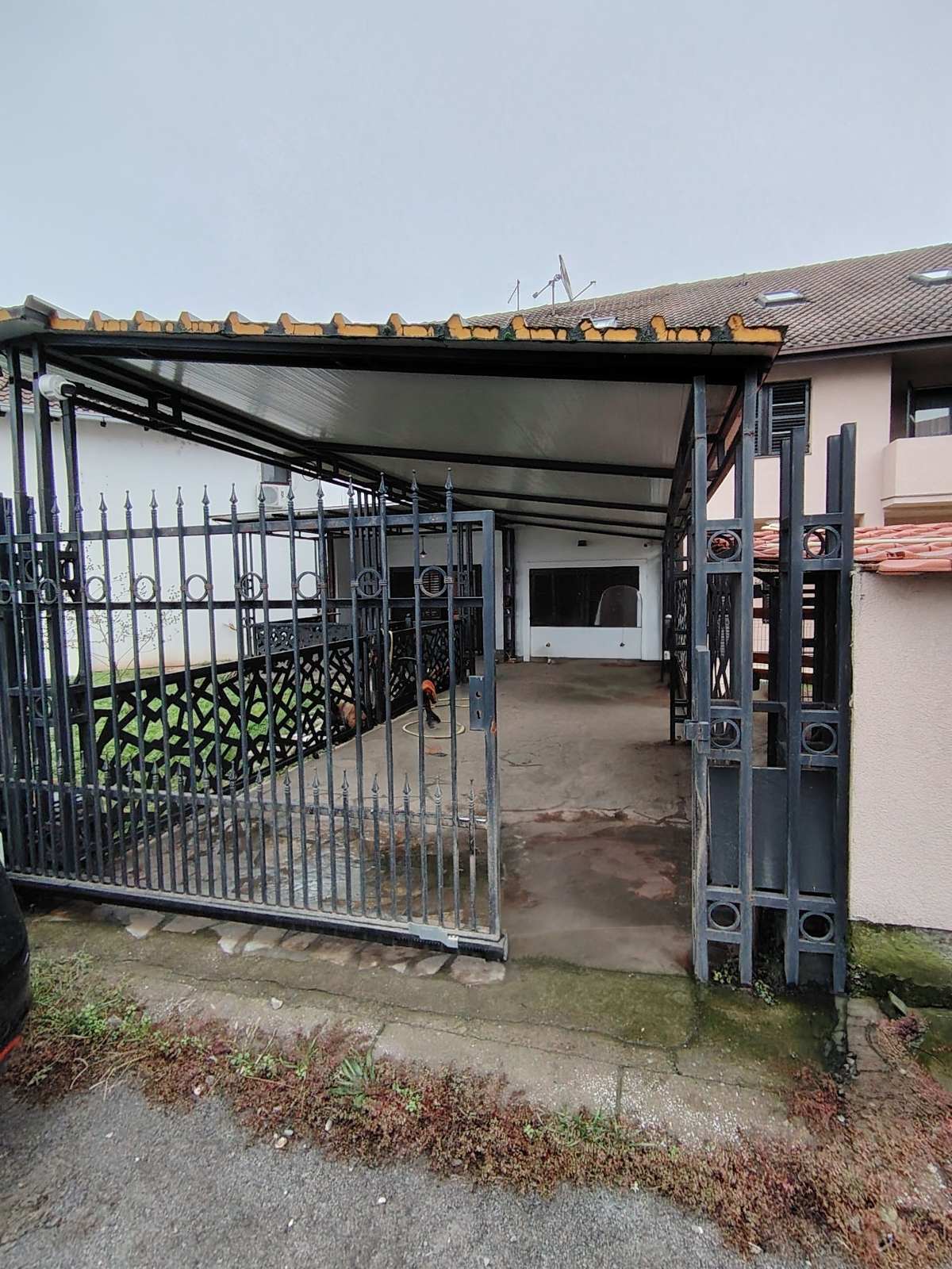 viber_image_2025-12-13_23-41-51-451